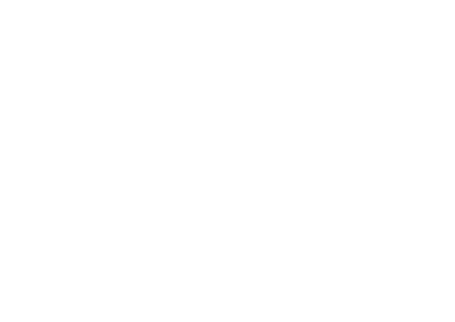 Black Belt Company